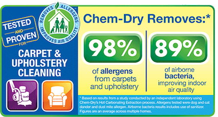 Upholstery Cleaning Services by Chem-Dry of Tampa in Town 'N' Country